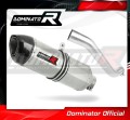RSV4 RR Exhaust Aprilia Muffler Auspuff Sportauspuff Silencer Echappement Silencieux Scarico Scarichi Escape Carbon Tip HP1 Dominator  