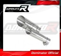 escape silenciador DOMINATOR GP3 compatible con la motocicleta S 1000 R 2017  2020 2