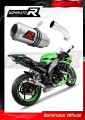 escape silenciador DOMINATOR GP compatible con la motocicleta Kawasaki ZX10R 2008  2010