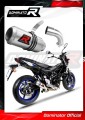 escape silenciador DOMINATOR GP compatible con la motocicleta Suzuki SV 650 2016  2023