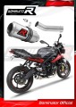 exhaust muffler DOMINATOR GP fits to Triumph STREET TRIPLE 675 R / S / RS 2013  2016