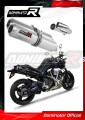 exhaust muffler DOMINATOR GP fits to Yamaha MT 01 1700 2005  2012