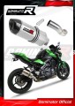 escape silenciador DOMINATOR HP1 compatible con la motocicleta Kawasaki Z900 2017  2019