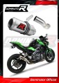 wydech tłumik DOMINATOR GP pasujący do motocykla Kawasaki Z900 2017 - 2019