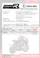 MT 10 RN45 Homologated EXHAUST Yamaha Muffler Auspuff Sportauspuff Silencer Echappement Silencieux Scarico Scarichi Escape Wydech Tłumik GP 2016 - 2020 ECE Type approval DOMINATOR 6