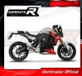 escape silenciador DOMINATOR GP compatible con la motocicleta BMW F900R 2020  2026 4