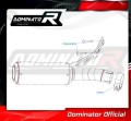 escape silenciador DOMINATOR GP compatible con la motocicleta BMW F900R 2020  2026 5