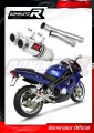 escape silenciador DOMINATOR GP1 compatible con la motocicleta MuZ MZ 1000 S 2004  2007
