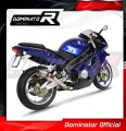 escape silenciador DOMINATOR GP1 compatible con la motocicleta MuZ MZ 1000 S 2004  2007 3
