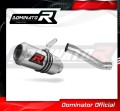 escape silenciador DOMINATOR GP compatible con la motocicleta Ducati MONSTER 821 2018  2021 2