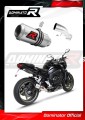 escape silenciador DOMINATOR GP compatible con la motocicleta Yamaha FZ1 FAZER 1000 2006  2015