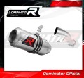 escape silenciador DOMINATOR GP compatible con la motocicleta Yamaha FZ1 FAZER 1000 2006  2015 2