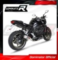 escape silenciador DOMINATOR GP compatible con la motocicleta Yamaha FZ1 FAZER 1000 2006  2015 3