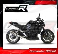 exhaust muffler DOMINATOR homologated road legal ROUND fits to YAMAHA FZ1 1000 FAZER 2006  2015 4
