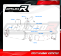 exhaust muffler DOMINATOR GP fits the motorcycle Yamaha FZ8 FAZER 2010   2016 4