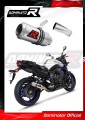escape silenciador DOMINATOR GP compatible con la motocicleta Yamaha FZ8 FAZER 2010  2016 5