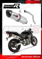 escape silenciador DOMINATOR HP1 compatible con la motocicleta Honda CB 600F HORNET 1998  2002