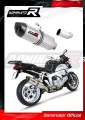 escape silenciador DOMINATOR HP1 compatible con la motocicleta BMW K1200R 2005  2009