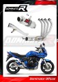 complete exhaust system with muffler DOMINATOR Full System GP1 fits to Suzuki GSF 650 BANDIT N / S 2005  2006