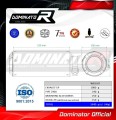 escape silenciador DOMINATOR homologado GP compatible con la motocicleta Kawasaki Z 900 2020  2024 5