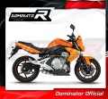 Kawasaki ER - 6 N / F 650 2009 - 2011 wydech Tłumik GP1 + dB killer medium