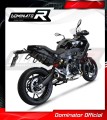 escape silenciador DOMINATOR GP negro compatible con la motocicleta BMW F900R 2020  2026 3
