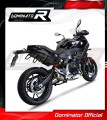 escape silenciador DOMINATOR GP compatible con la motocicleta BMW F900XR 2020  2026 3