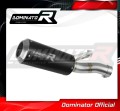 escape silenciador DOMINATOR GP negro compatible con la motocicleta BMW F900XR 2020  2026 2