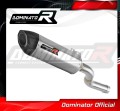 escape silenciador DOMINATOR HP5 compatible con la motocicleta BMW F900R 2020  2026