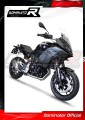 colector de escape DOMINATOR  compatible con la motocicleta BMW F900XR 2020  2026 3