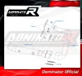 colector de escape DOMINATOR  compatible con la motocicleta BMW F900XR 2020  2026 8