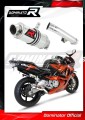 escape silenciador DOMINATOR GP1 compatible con la motocicleta Honda CBR 600 F2 / F3 1991  1998