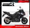 exhaust muffler DOMINATOR oval fits the motorcycle Kawasaki VERSYS 1000 2019   2024 3