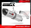 escape silenciador DOMINATOR HP1 compatible con la motocicleta BMW S1000RR 2015  2016 2