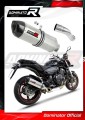escape silenciador DOMINATOR HP1 compatible con la motocicleta Honda CB 600F HORNET PC41 2007  2013