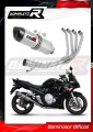 sistema de escape completo con silenciador DOMINATOR Full System HP1 compatible con la motocicleta Suzuki GSXF 650 2007  2016