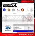 escape silenciador DOMINATOR oval compatible con la motocicleta Suzuki SV 650 N 1999  2002 2