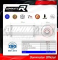 exhaust muffler DOMINATOR GP1 fits the motorcycle Suzuki SV 650 N 1999   2002 2