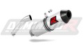 escape silenciador DOMINATOR MX2 compatible con la motocicleta Acces Motor TOMAHAWK 300  3