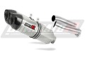RSV 1000 R Exhaust Aprilia Muffler Auspuff Sportauspuff Silencer Echappement Silencieux Scarico Scarichi Escape Carbon Tip HP1 2004 - 2009 Dominator x