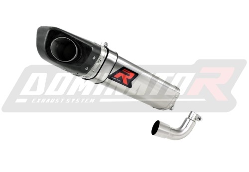 escape silenciador DOMINATOR HP4 compatible con la motocicleta Aprilia RS4 125 2012  2017 3
