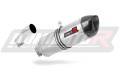 escape silenciador DOMINATOR HP1 compatible con la motocicleta BMW F800R 2009  2019 3