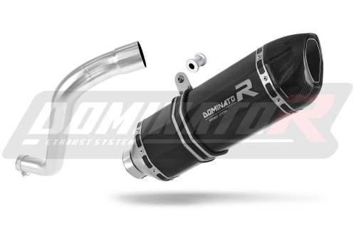 escape silenciador DOMINATOR HP1 negro compatible con la motocicleta BMW F650 FUNDURO  2