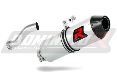 escape silenciador DOMINATOR MX2 compatible con la motocicleta Can am RENEGADE 800  3
