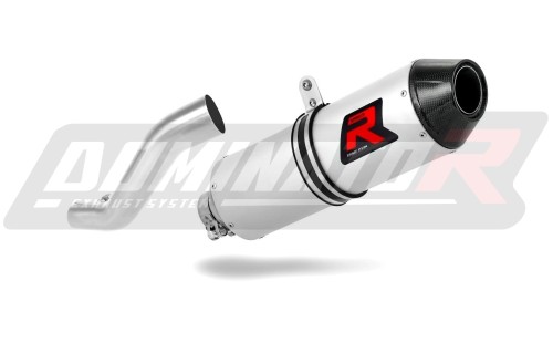 escape silenciador DOMINATOR MX2 compatible con la motocicleta Husqvarna TC 450 2008  2010 3