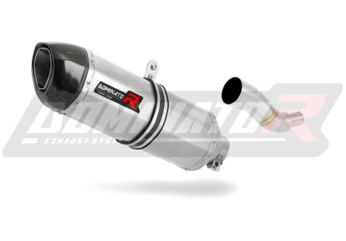 escape silenciador DOMINATOR HP1 compatible con la motocicleta Piaggio X9 125 2000  2009 3