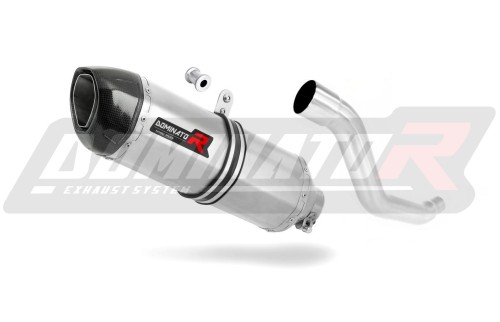 escape silenciador DOMINATOR HP1 compatible con la motocicleta Suzuki XF 650 Freewind 1997  2003 3