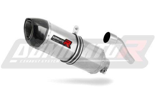escape silenciador DOMINATOR HP1 compatible con la motocicleta Yamaha TZR 50  3