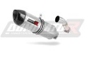 exhaust muffler DOMINATOR HP1 fits the motorcycle Yamaha YBR 250  4