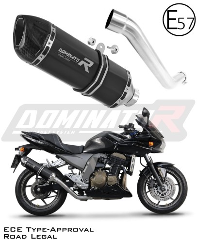 escape silenciador DOMINATOR homologado HP1 negro compatible con la motocicleta Kawasaki Z750 2004  2006 6